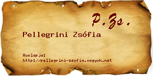 Pellegrini Zsófia névjegykártya